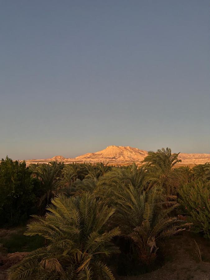 Beir El Gabal Hotel Qasr Dakhl Exterior photo